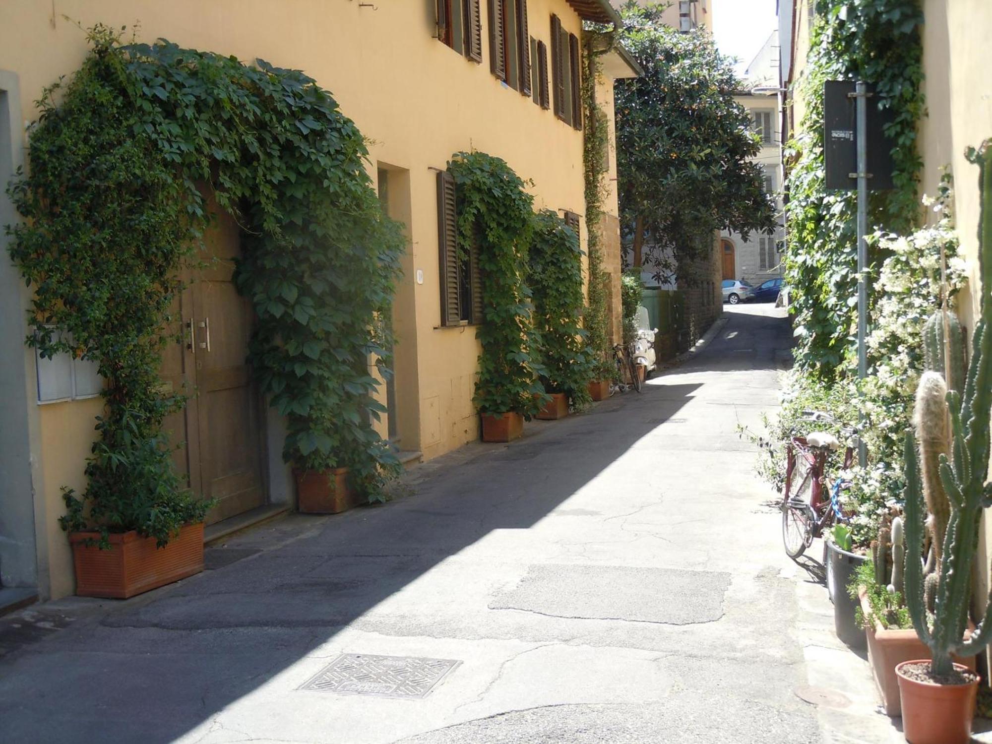 La Casa Di Emilia Lejlighed Firenze Eksteriør billede